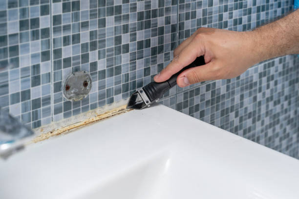 Best Water Damage Restoration  in Festus, MO